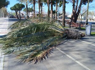 Protecció Civil alerta d’un reforç del vent dimarts a l’Empordà i el Pirineu