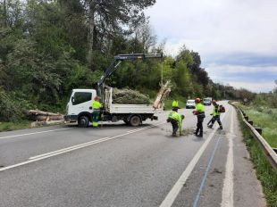 Girona contracta 13 persones en atur en barris amb més vulnerabilitat