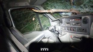 Els Bombers registren més de 300 avisos pel vent, la majoria a Girona