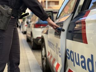 Detingut un multireincident a Palafrugell per escopir a un nadó de deu mesos