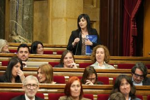 Orriols, a Illa: ''Gràcies pels pressupostos i desarticular el PSC a Ripoll; una jugada mestra''