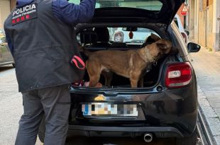 Un dispositiu policial a Figueres acaba amb denúncies per armes i drogues