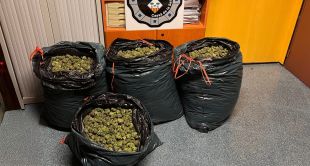 Detingut a Cassà amb 79 quilos de cabdells de marihuana dins el cotxe