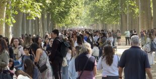 Milers de persones participen al macrocàsting d''Enredados' de Disney a Girona