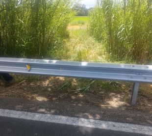 La Diputació estudiarà la reobertura d'un accés a uns camps de cultiu a Castelló d'Empúries