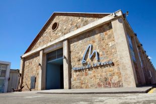 Palamós impulsa un projecte pioner per repoblar el mar i recuperar biodiversitat