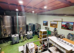 Clos de la Torre rellança la producció d’oli a l’Alt Empordà amb suport de l’ICF