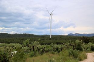 Més de 180 ajuntaments, la majoria gironins, planten cara al PLATER