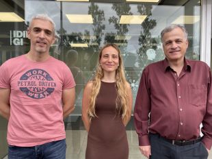 Un estudi de l’IDIBGI vincula un microorganisme intestinal amb un millor control del sucre en sang