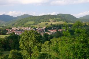 La Vall de Camprodon impulsa un pla forestal conjunt per ordenar boscos i reduir costos