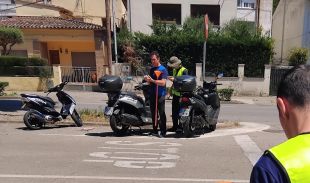 Girona activa la campanya contra el mosquit tigre amb més de 14.000 punts de control