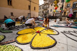 Arbúcies homenatja els 80 anys de les catifes florals amb 26 creacions al centre del poble