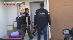 Desarticulada una xarxa vinculada a la Camorra que distribuïa bitllets falsos a Girona