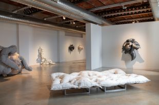 Can Mario acull una exposició d’Anna Irina Russell sobre la respiració i la interdependència