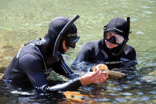 Catalunya posa en marxa un pla per recuperar el 30% dels hàbitats marins degradats