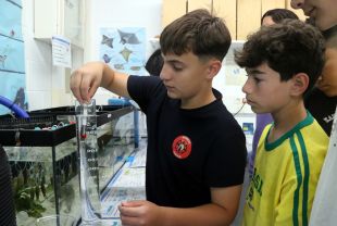 Alumnes de Cadaqués crien ous de tauró gat capturats accidentalment per pescadors 