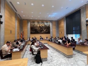 La Diputació reclama aturar el PLATER i replantejar-lo amb més participació territorial