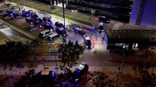 Desarticulada una xarxa de marihuana amb 28 detinguts i més de 6.000 plantes a Girona