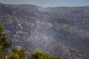''S’ha anat tard'': les Gavarres exigeixen més recursos després del gran incendi