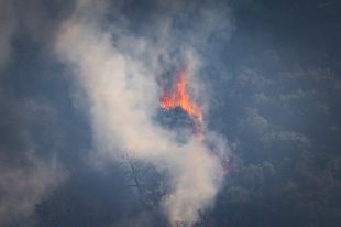 Tots els infants de la casa de colònies evacuats pel foc de les Gavarres ja són a casa