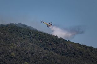 Què diuen els experts sobre el veí de Calonge que va fugir de casa durant l'incendi?
