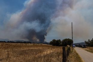 Voluntaris de Cruïlles rescaten més d'un centenar d'animals de zones properes a l'incendi