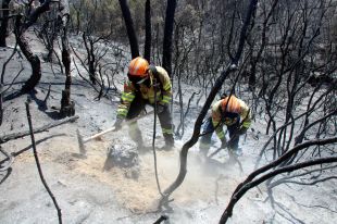 Els nous incendis a Catalunya ajornen el control del foc de la Bisbal que revifa
