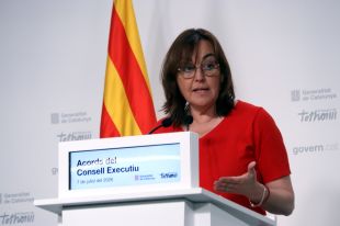Paneque admet que el canvi en la gestió dels boscos ''no serà fàcil ni ràpid''
