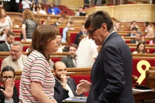 Paneque defensa que el Govern no és responsable de l’origen del foc de les Gavarres