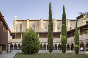 Els falciots tornen a niar a Sant Domènec després de la restauració de les façanes