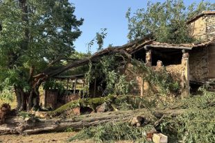 Tretze ferits en caure un arbre sobre una casa de colònies a la Garrotxa