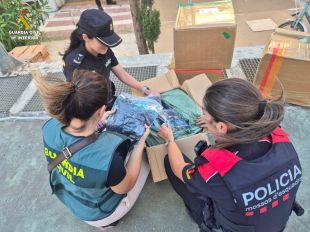 Intervenen unes 7.000 peces falsificades destinades al top manta a Castelló d’Empúries