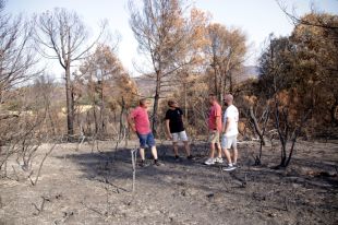 Les Gavarres es mobilitzen després de l’incendi amb una gran jornada solidària