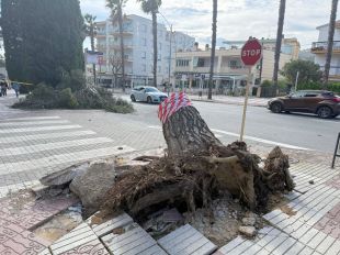 Platja d’Aro invertirà 2,1 milions per renovar el 60% de les voreres
