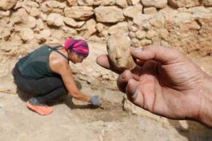 Descobreixen a Empúries un cap femení d’un vas ritual del segle VI aC