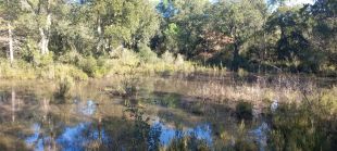 El Consorci de les Gavarres compra una finca de 70 hectàrees d’alt valor natural a Llagostera