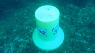 Vandalitzen una quinzena de boies que protegeixen les cales entre Palamós i Mont-ras