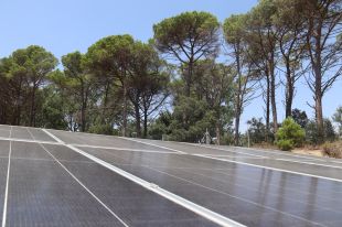 Vidreres acull la prova pilot del model català per integrar renovables i biodiversitat