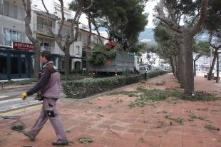 Huguet amenaça en sancionar a les elèctriques en el cas que tinguessin les torres en mal estat