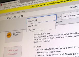 ‘Déu-n’hi-do’, ‘badar, ‘compte' i ‘biaix’, entre les paraules més consultades en català
