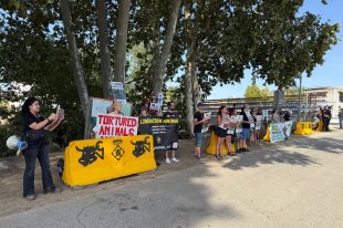 Protesta contra els correbous de Vidreres: ''És una vergonya que això passi al segle XXI''