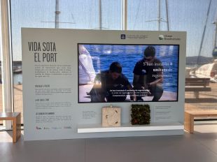 L'Espai Medes de l'Estartit instal·la una càmera submarina per seguir la regeneració del port