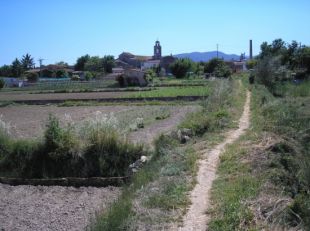 El pla urbanístic del sector de Sota Monestir de Banyoles elimina més del 90% de les hortes