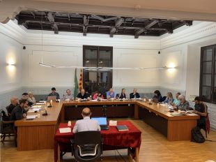 Ripoll sanciona amb més de 64.000 euros l'empresa d'enllumenat públic