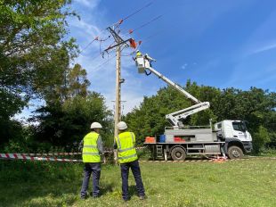 Endesa adapta 40 torres elèctriques a l'Alt Empordà per protegir l'ibis ermità