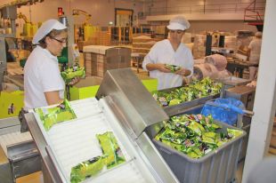 Frit Ravich inverteix 15 MEUR en una nova nau que doblarà la superfície actual de l'empresa