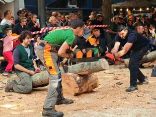 Sant Hilari Sacalm acull la 9a Fira Guilleries amb la 54a Tallada de Troncs