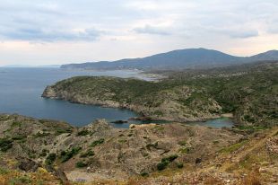 Cadaqués rebutja el pla de la foca monjo a Cala Jugadora