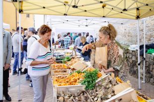 Llagostera celebra la 24a Fira del Bolet amb noves activitats i propostes gastronòmiques