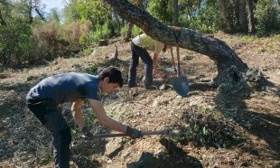 Cassà de la Selva reprèn les excavacions al jaciment iber de Puig Castellar